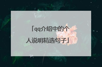qq介绍中的个人说明精选句子