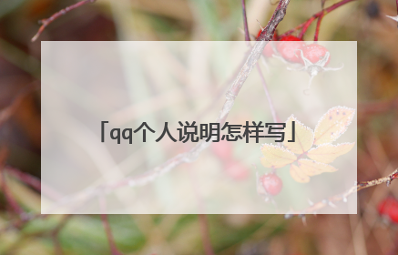 qq个人说明怎样写