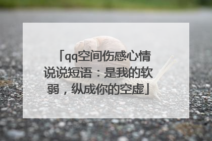 qq空间伤感心情说说短语:是我的软弱,纵成你的空虚
