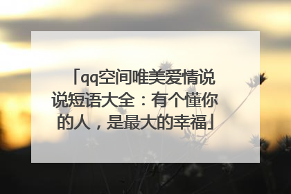 qq空间唯美爱情说说短语大全：有个懂你的人，是最大的幸福