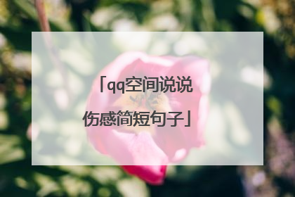 qq空间说说伤感简短句子