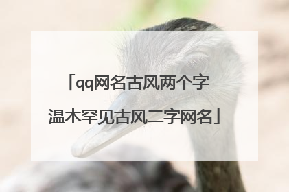qq网名古风两个字 温木罕见古风二字网名