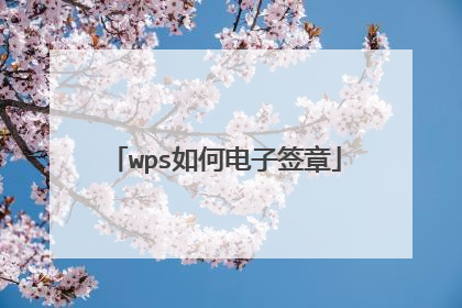 wps如何电子签章