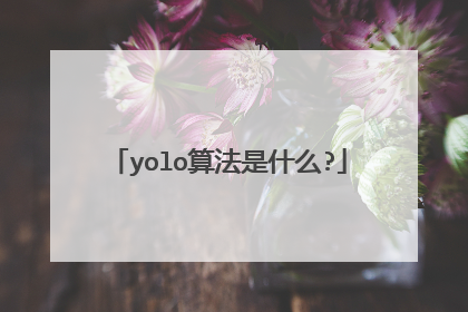 yolo算法是什么?