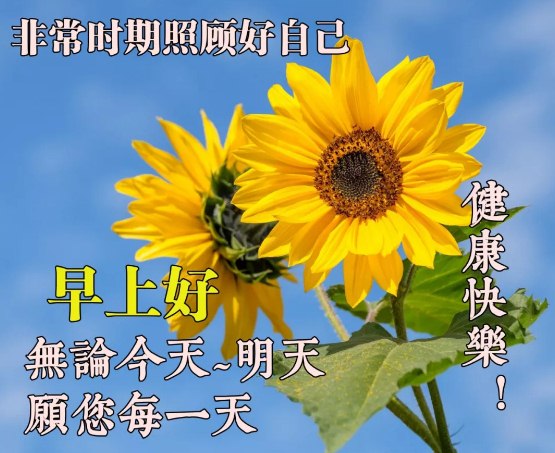 早上好新冠疫情问候早安图片带字带祝福