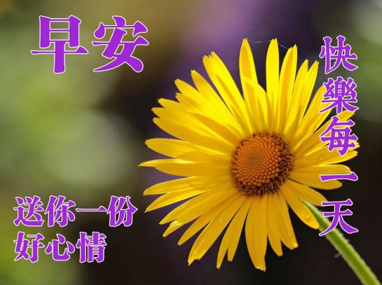 早上好新冠疫情问候早安图片带字带祝福