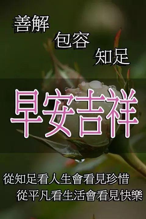 2020早上好图片精选，唯美阳光，祝你早安