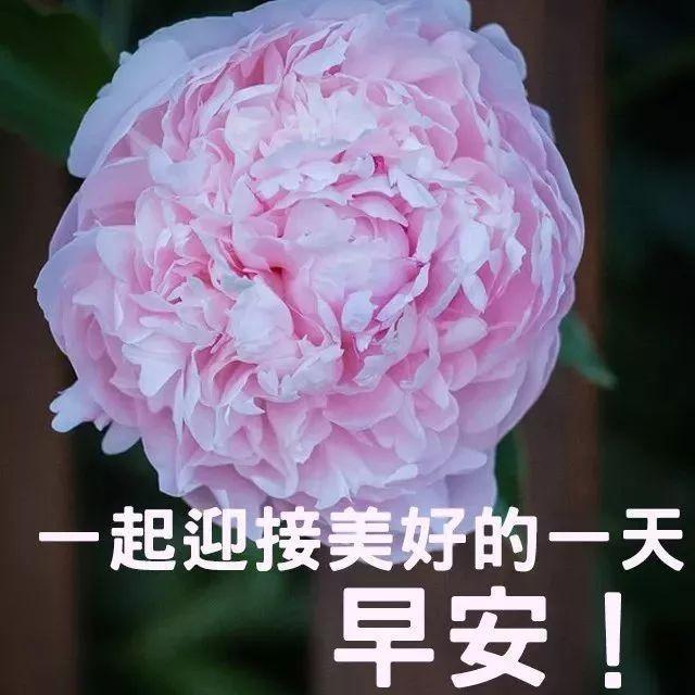 2020早上好图片精选，唯美阳光，祝你早安