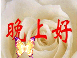 晚安祝福gif可爱动态表情包 温馨一句话晚上好问候的短句子