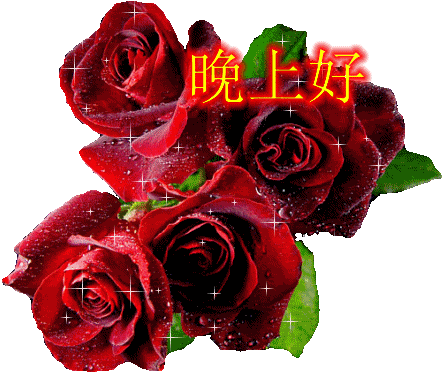 晚安祝福gif可爱动态表情包 温馨一句话晚上好问候的短句子