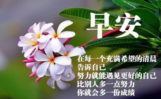 早晨好动态祝福唯美图片 清晨早上好问候语图片带字