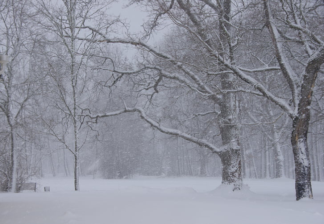 怀孕梦见下雪什么意思 怀孕梦见下雪好不好