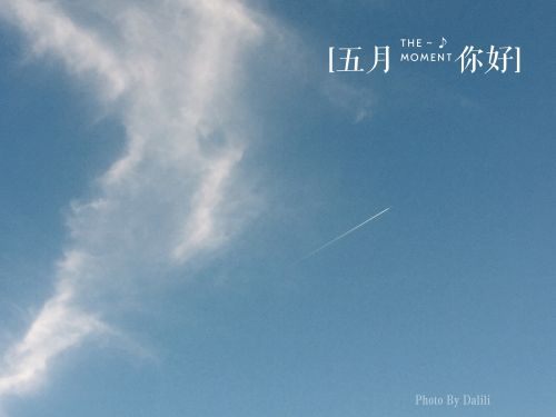 五月你好