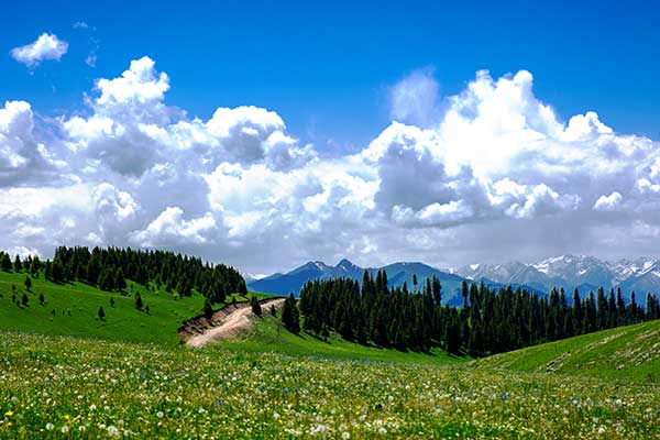 伊犁旅游的地方有哪些 伊犁旅游景点推荐