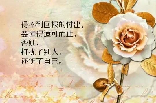 晚安心语励志语录配图：过自己喜欢过的日子，就是最好的活法