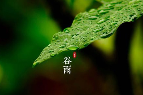 农谚谚语大全 农谚谚语有哪些