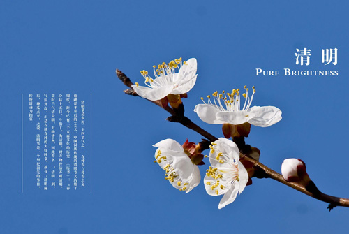 清明节心情说说 关于清明节的心情说说