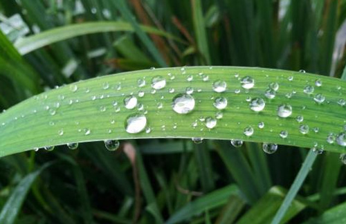 关于下雨天的唯美句子 下雨的有意境的短句子