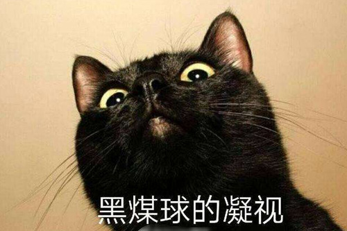 6字短句高冷霸气十足 6字精辟短句