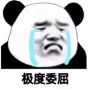 关于社会熊猫人必备表情包 聊天斗图常用表情包