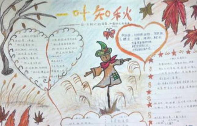 关于秋分的手抄报图片漂亮2020 24节气秋分手抄报优秀作品
