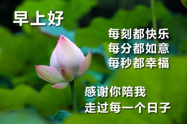 发朋友圈的温暖早安图片加阳光祝福句子