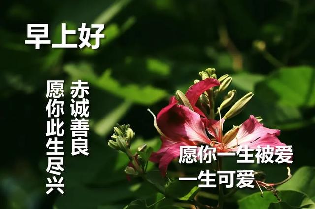 发朋友圈的温暖早安图片加阳光祝福句子