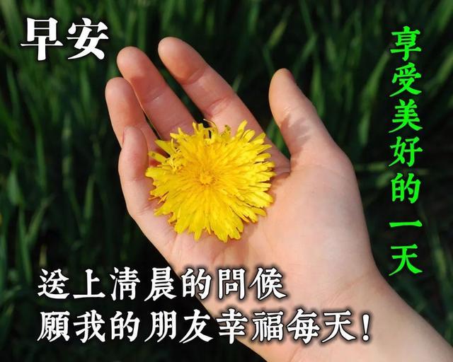 2020五月第二天早上好最新版唯美壁纸图片句子分享