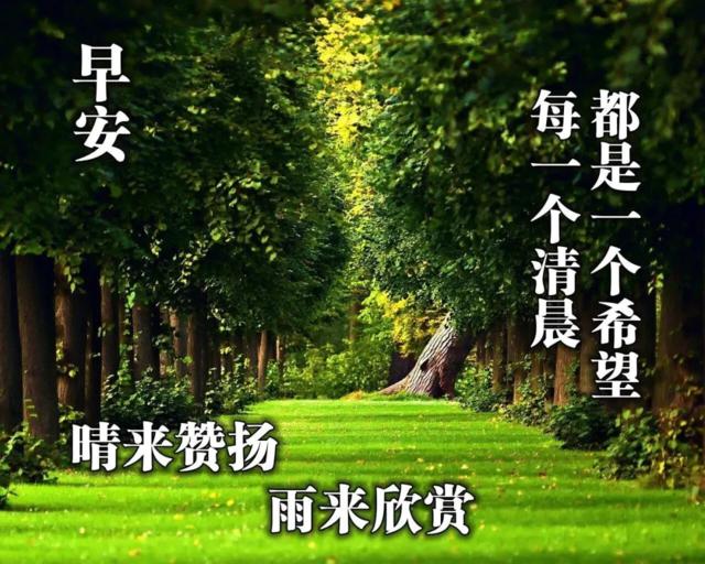 夏天早安动态表情问候图片最新版2020