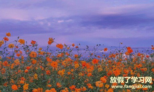 一段很现实的话