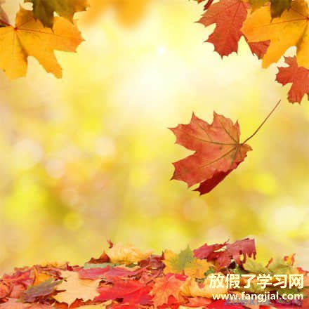 牙疼说说心情说说 牙疼幽默又安慰的句子