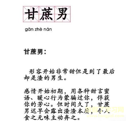 甘蔗男是什么意思