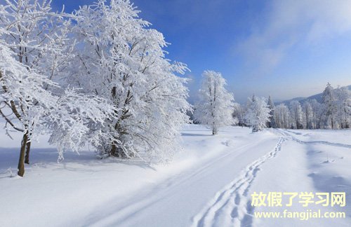 关于下雪的感言短句下雪发朋友圈短句21第一场雪 心情说说