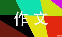 关于初二作文钢笔800字