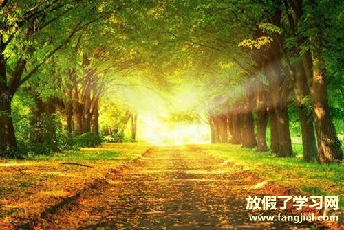 生日心情说说 自己生日心情说说感悟生活