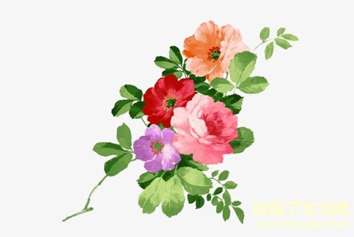 对儿子的寄语-父母对孩子的简短寄语