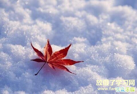 冬至快乐的说说 冬至温暖说说祝福语
