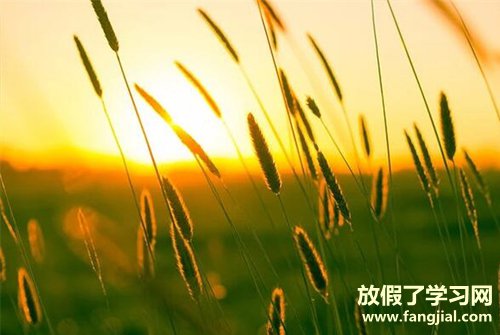 想发朋友圈的心情说说-感到轻松愉悦的心情说说大全