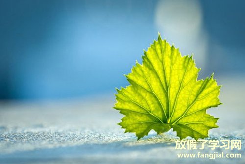 祝福领导的话-祝福领导离开最实在的话