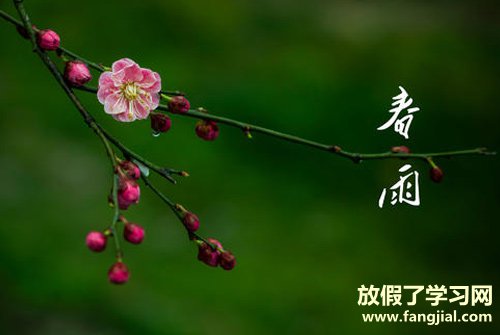 描写春天的句子短句 春天的优美句子摘抄