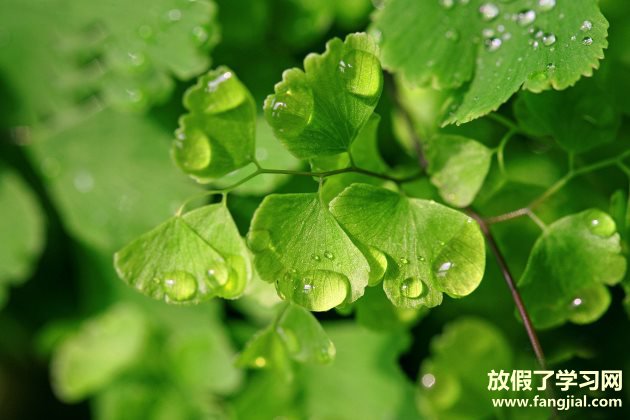 2019晚安心语优美语句说说心情句子
