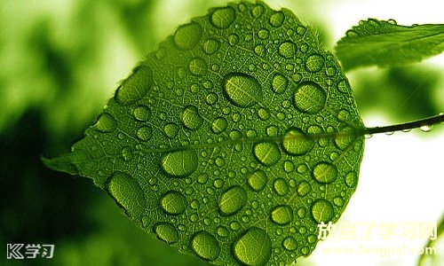 最新下雨天的句子文案简短大全 精选句 好词和好句 最新下雨天的句子文案简短大全 精选句 好词和好句